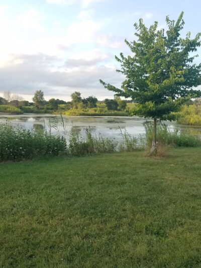 East Branch Forest Preserve - Glendale Heights, IL
