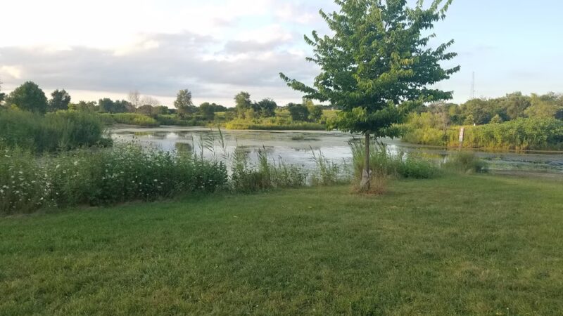 East Branch Forest Preserve - Glendale Heights, IL