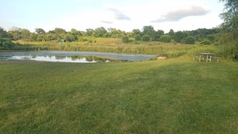 East Branch Forest Preserve - Glendale Heights, IL