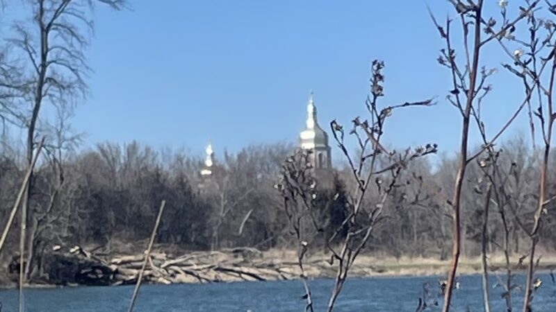 East Branch Forest Preserve - Glendale Heights, IL