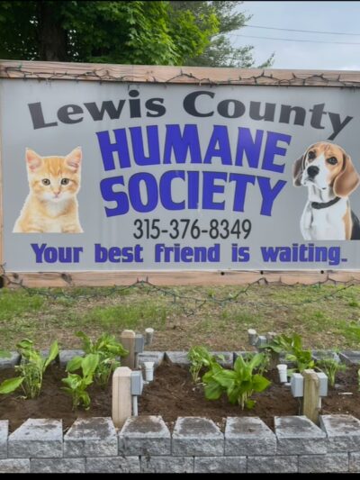 Lewis County Humane Society - Glenfield, NY
