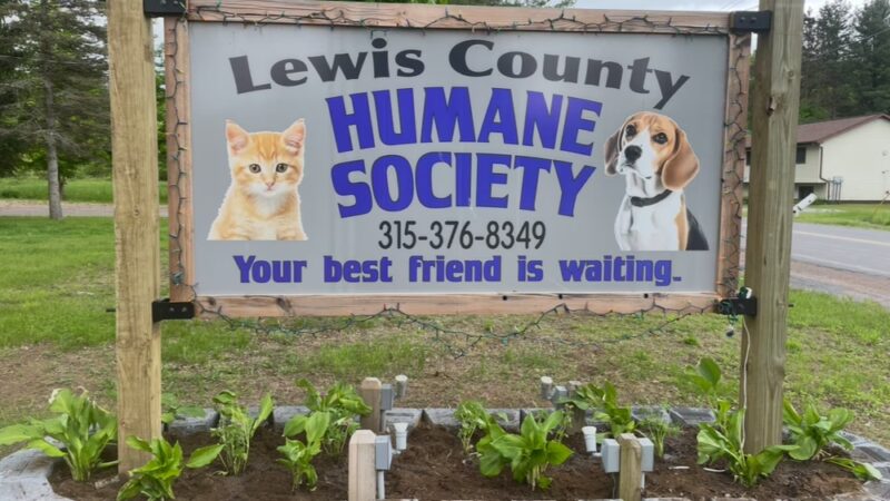 Lewis County Humane Society - Glenfield, NY