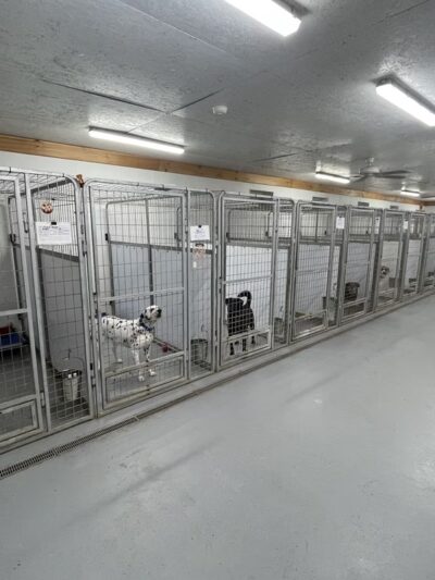 Lewis County Humane Society - Glenfield, NY