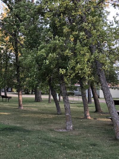 Glenfield City Park Campground - Glenfield, ND