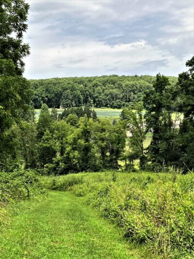 Thomas P. Bentley Nature Preserve - Glenmoore, PA