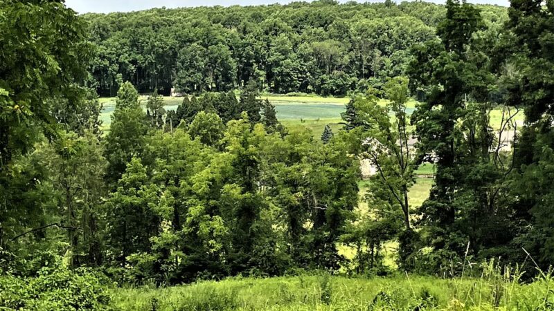 Thomas P. Bentley Nature Preserve - Glenmoore, PA