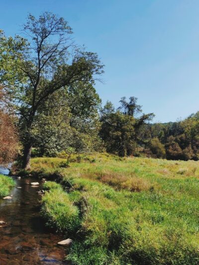 Thomas P. Bentley Nature Preserve - Glenmoore, PA