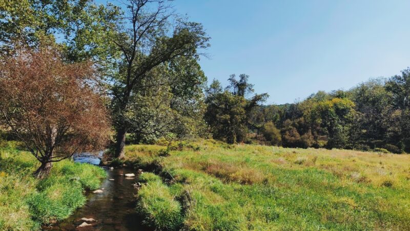Thomas P. Bentley Nature Preserve - Glenmoore, PA
