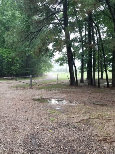 Spring Creek - Glenmora, LA