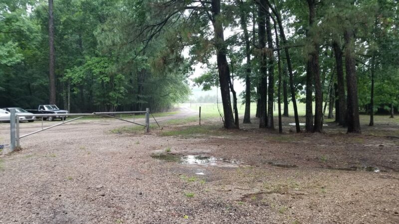 Spring Creek - Glenmora, LA