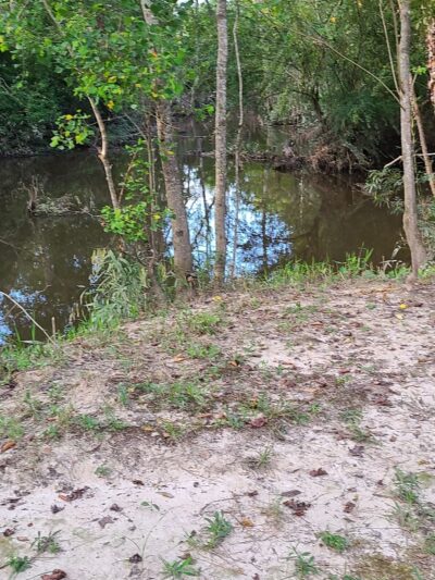 Spring Creek - Glenmora, LA