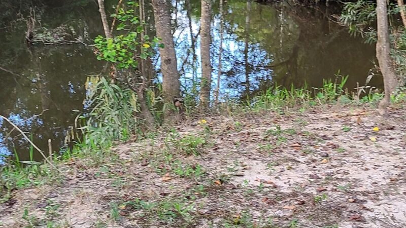 Spring Creek - Glenmora, LA