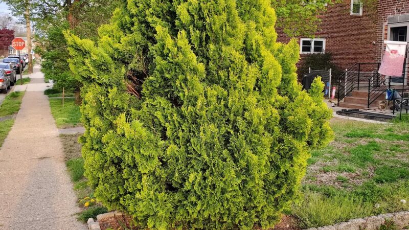 Park Drive Tot Lot - Glenolden, PA