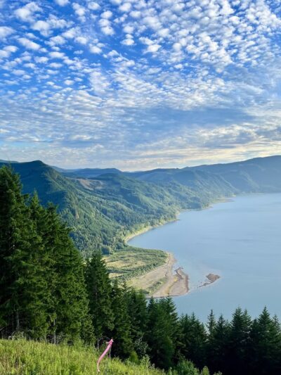 Dog Mountain Trailhead - Glenoma, WA