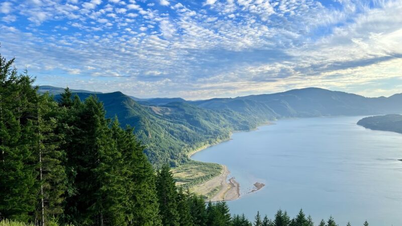 Dog Mountain Trailhead - Glenoma, WA