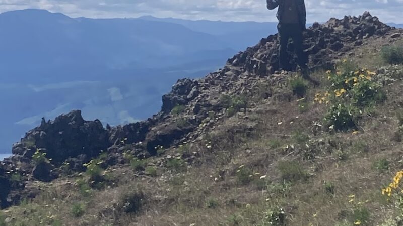 Dog Mountain Trailhead - Glenoma, WA