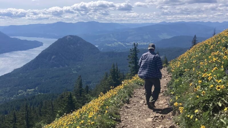 Dog Mountain Trailhead - Glenoma, WA