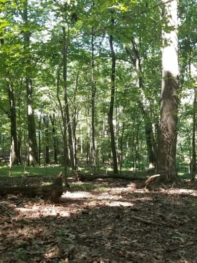 Ellen Hughes Park - Glenshaw, PA