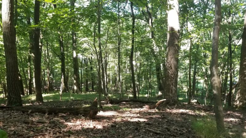 Ellen Hughes Park - Glenshaw, PA