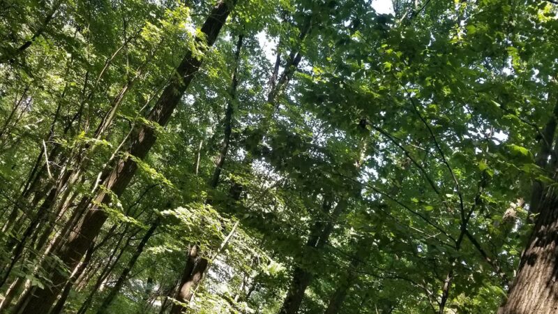 Ellen Hughes Park - Glenshaw, PA