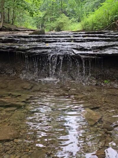 Fall Run Park Upper Trailhead - Glenshaw, PA