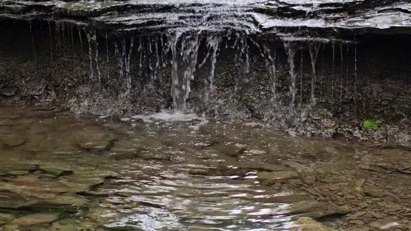 Fall Run Park Upper Trailhead - Glenshaw, PA