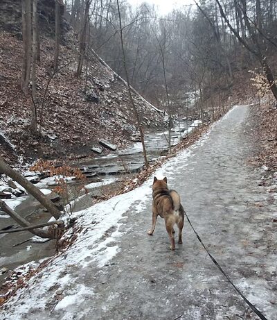 Fall Run Park Upper Trailhead - Glenshaw, PA
