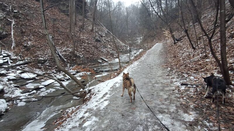 Fall Run Park Upper Trailhead - Glenshaw, PA