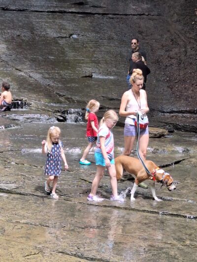 Fall Run Park Upper Trailhead - Glenshaw, PA