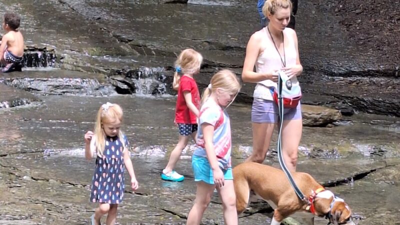 Fall Run Park Upper Trailhead - Glenshaw, PA