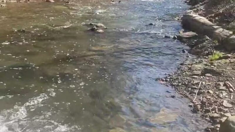 Fawcett Fields - Glenshaw, PA