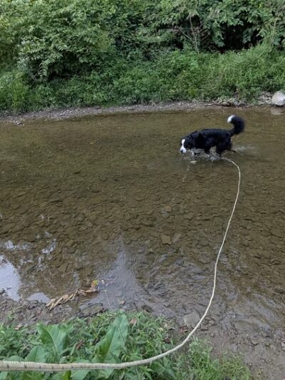 Fawcett Fields - Glenshaw, PA