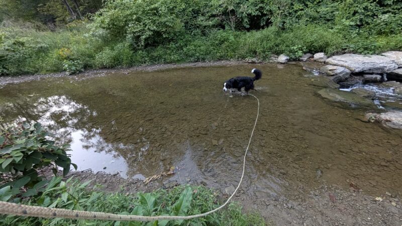 Fawcett Fields - Glenshaw, PA