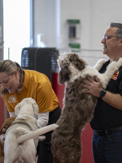 The Dog Stop - Allison Park, PA - Glenshaw, PA