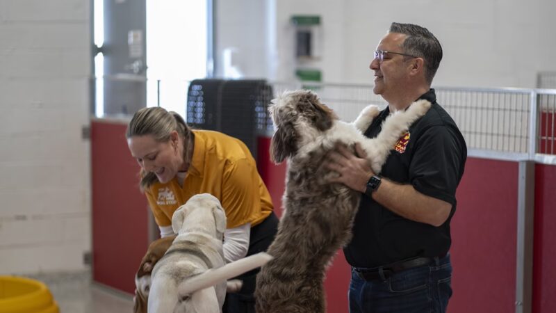 The Dog Stop - Allison Park, PA - Glenshaw, PA