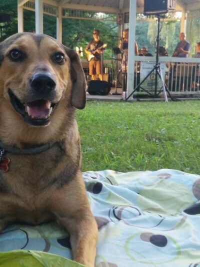 Long Lost Duck Pond - Glenside, PA