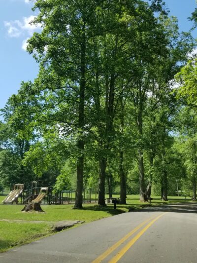 Cedar Creek State Park - Glenville, WV