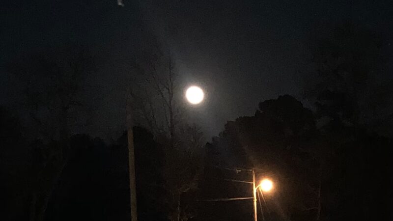 Glenwood Softball Park - Glenwood, AR