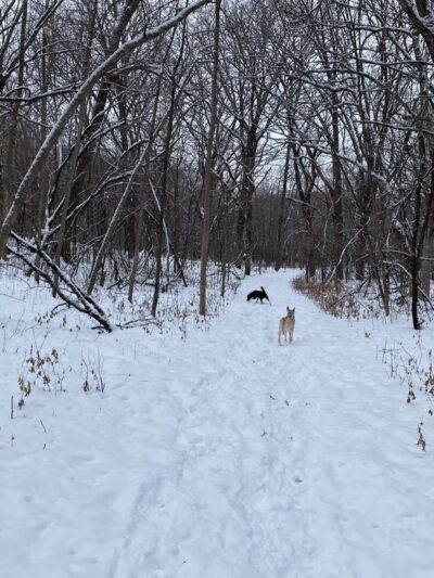 Barsness Park - Glenwood, MN