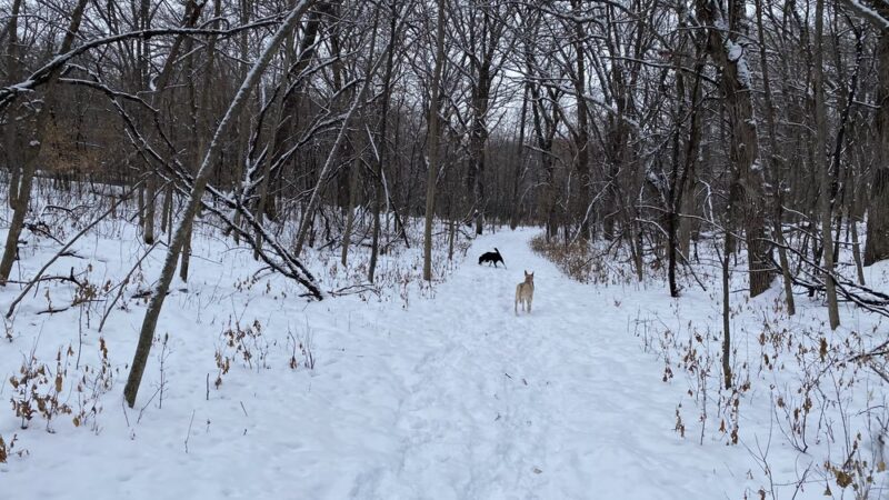Barsness Park - Glenwood, MN