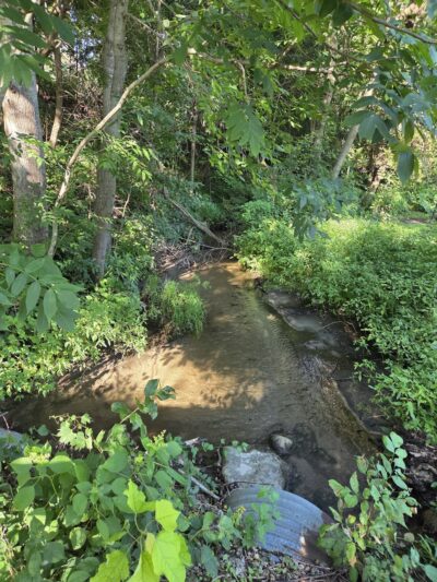 Barsness Park - Glenwood, MN