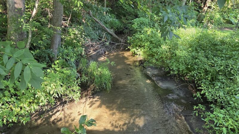 Barsness Park - Glenwood, MN