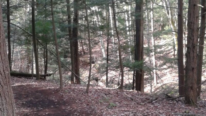 Sprague Brook Park - Glenwood, NY