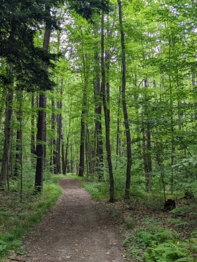 Sprague Brook Park - Glenwood, NY