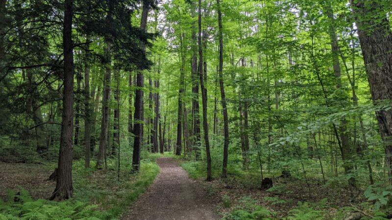 Sprague Brook Park - Glenwood, NY