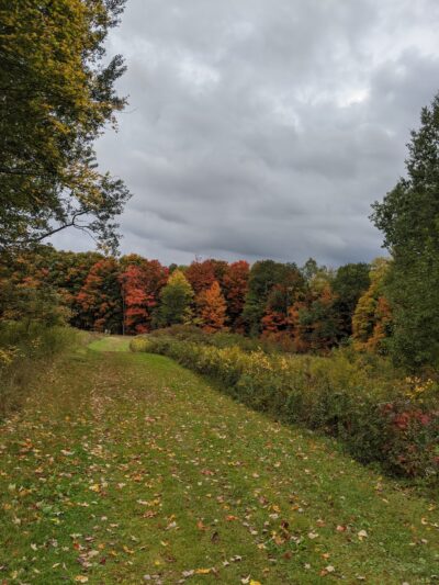 Sprague Brook Park - Glenwood, NY