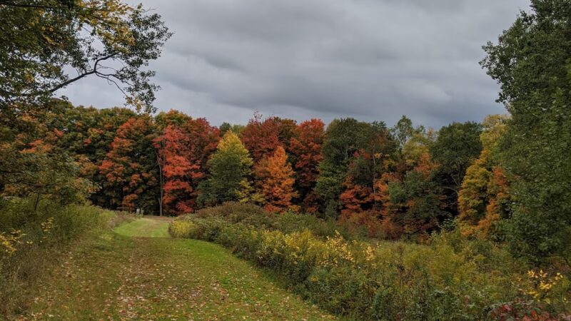 Sprague Brook Park - Glenwood, NY