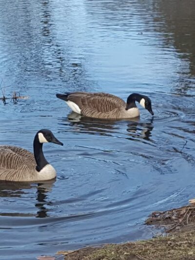 Johnson Park - Gloucester City, NJ