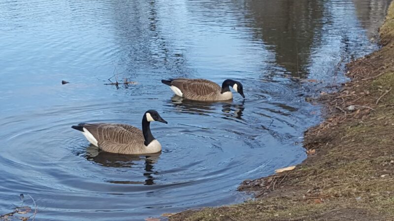 Johnson Park - Gloucester City, NJ