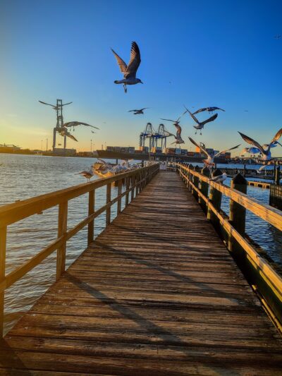 Proprietors Park - Gloucester City, NJ